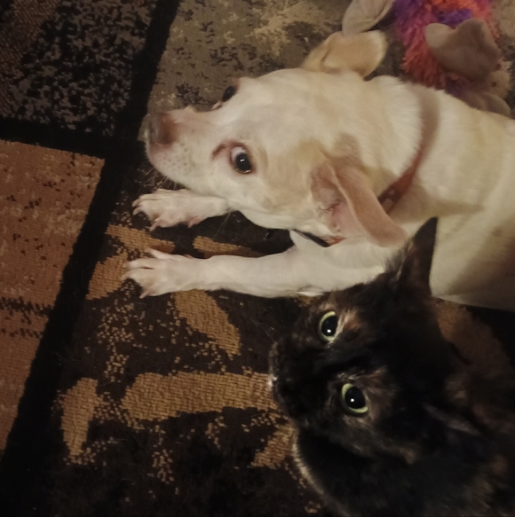 Meet your Posher, Kimberly - Picture 8 of 16